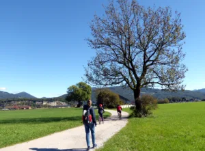 Der Weg nach Anif zweigt nach rechts ab. Bild: Christian Heugl, Salzburg Verkehr 