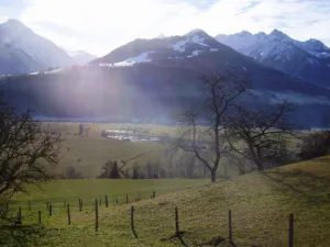 Der Blick hinab auf die Fürther und Piesendorfer Wiesen. Christian Heugl, Salzburg Verkehr 