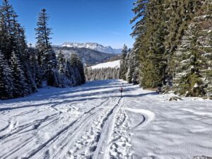 Der Aufstieg orientiert sich an der Kurvenlift-Piste.Bild: Christian Heugl