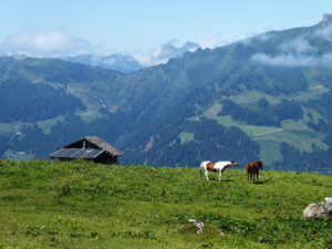 Salzburger Verkehrsverbund SVV Salzburg-erfahren.at SVV Christian Heugl Wandertouren Öffi-Tourentipp