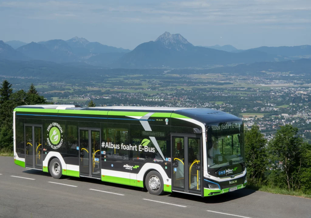 Gaisbergbus_Albus_Scheinast